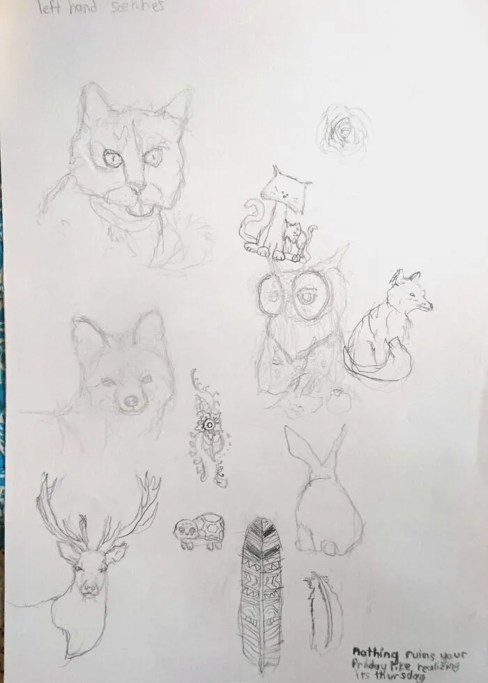These Sketches