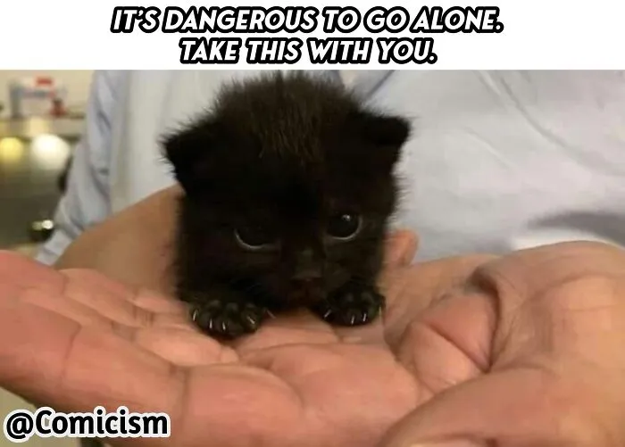 30 Funny Moments With Cats That Will Definitely Brighten Your Day
