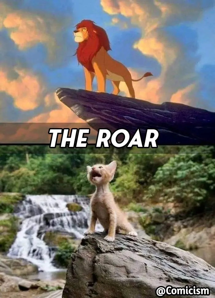 30 Funny Moments With Cats That Will Definitely Brighten Your Day