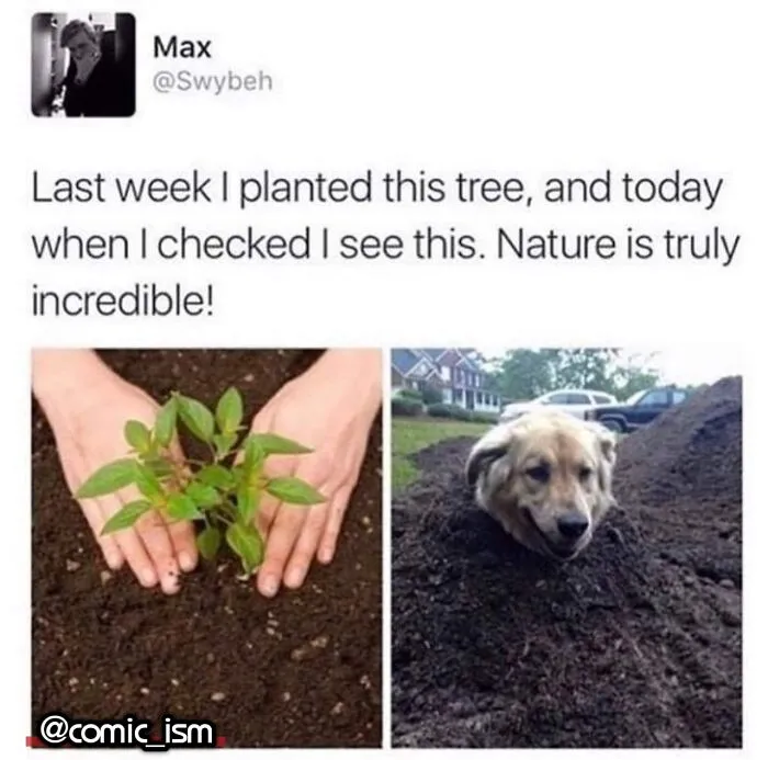 Adorable Dog Moments With Best Annotations To Brighten Your Day 
(31 Pics)