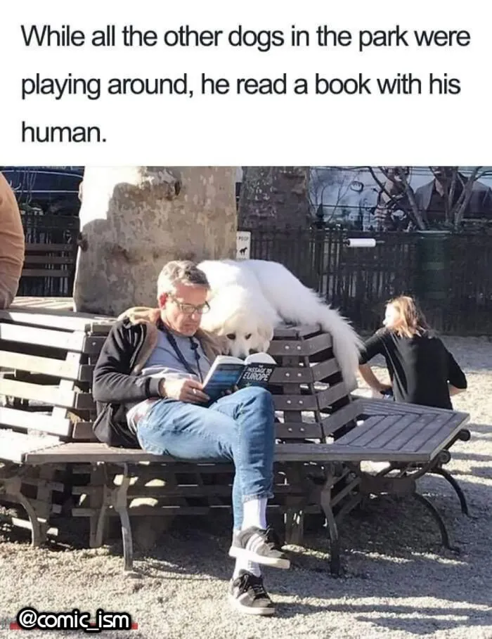 Adorable Dog Moments With Best Annotations To Brighten Your Day 
(31 Pics)