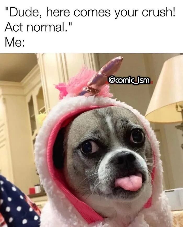 Adorable Dog Moments With Best Annotations To Brighten Your Day 
(31 Pics)