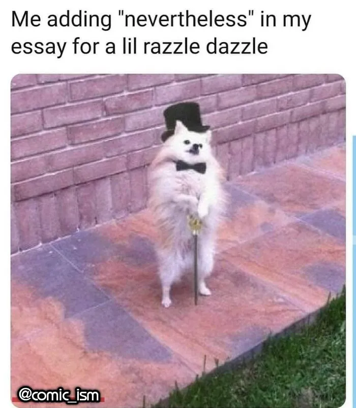 Adorable Dog Moments With Best Annotations To Brighten Your Day 
(31 Pics)