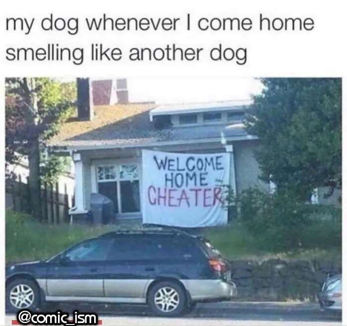 Adorable Dog Moments With Best Annotations To Brighten Your Day 
(31 Pics)