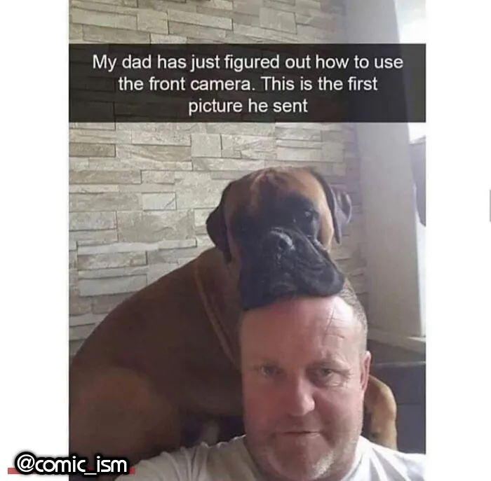 Adorable Dog Moments With Best Annotations To Brighten Your Day 
(31 Pics)