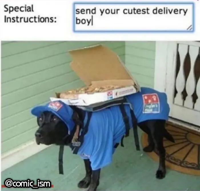 Adorable Dog Moments With Best Annotations To Brighten Your Day 
(31 Pics)