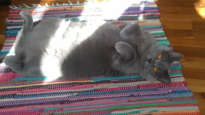Hey There, Handsome