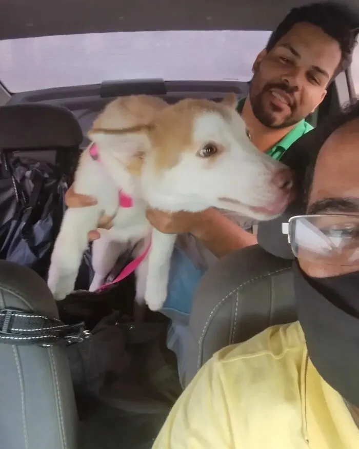 40 Selfies que este hombre se hizo con los pasajeros de su "taxi de mascotas"