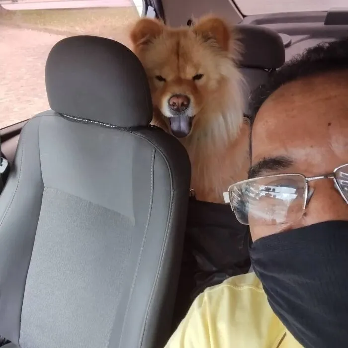 40 Selfies que este hombre se hizo con los pasajeros de su "taxi de mascotas"