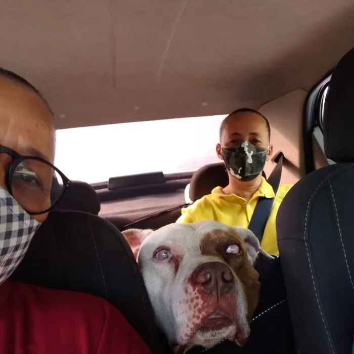40 Selfies que este hombre se hizo con los pasajeros de su "taxi de mascotas"