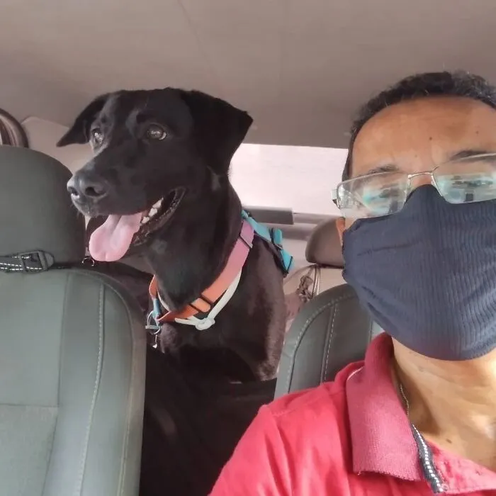 40 Selfies que este hombre se hizo con los pasajeros de su "taxi de mascotas"