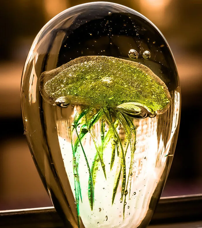 Glass Jellyfish