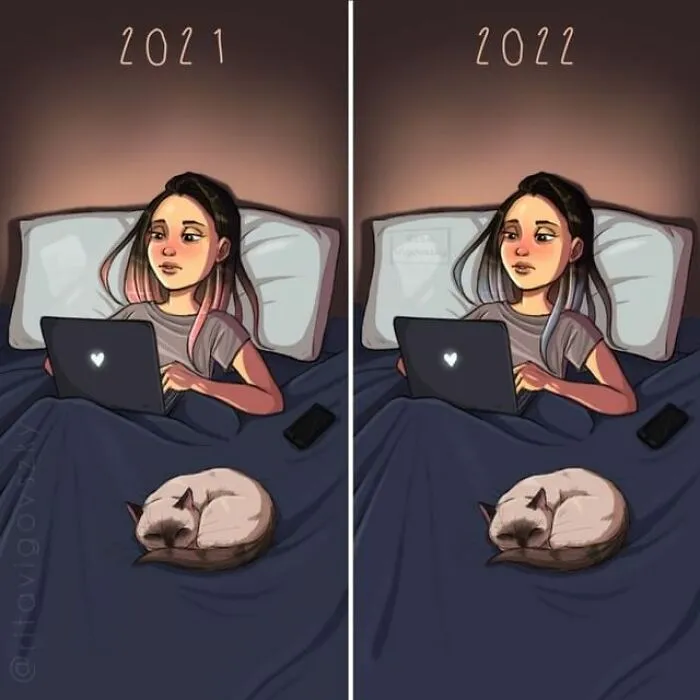 30 Ilustraciones que muestran cómo es tener un gato