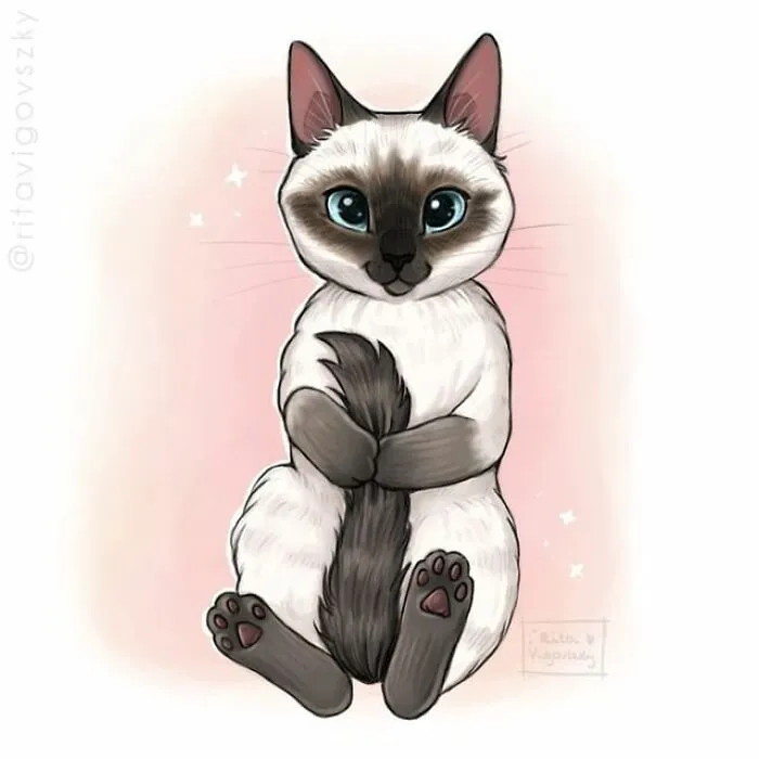 30 Ilustraciones que muestran cómo es tener un gato