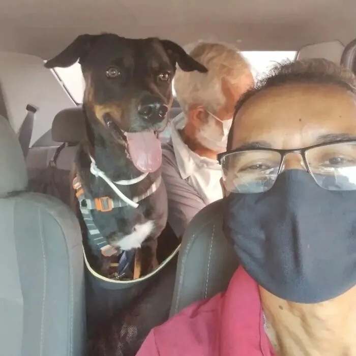 40 Selfies This Guy Has Taken With The Passengers Of His “Pet Taxi” Business