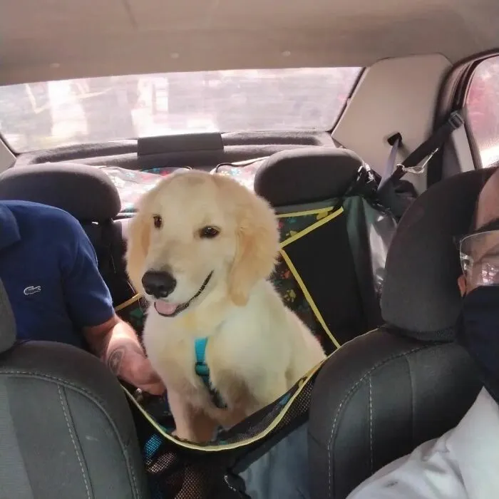 40 Selfies que este hombre se hizo con los pasajeros de su "taxi de mascotas"
