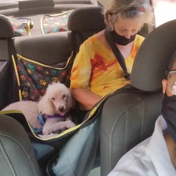 40 Selfies This Guy Has Taken With The Passengers Of His “Pet Taxi” Business