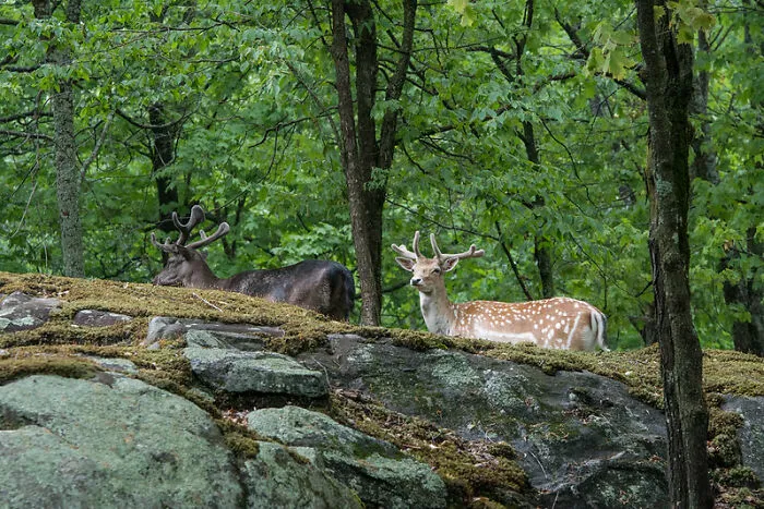 Don't Litter In Wildlife Preserves
