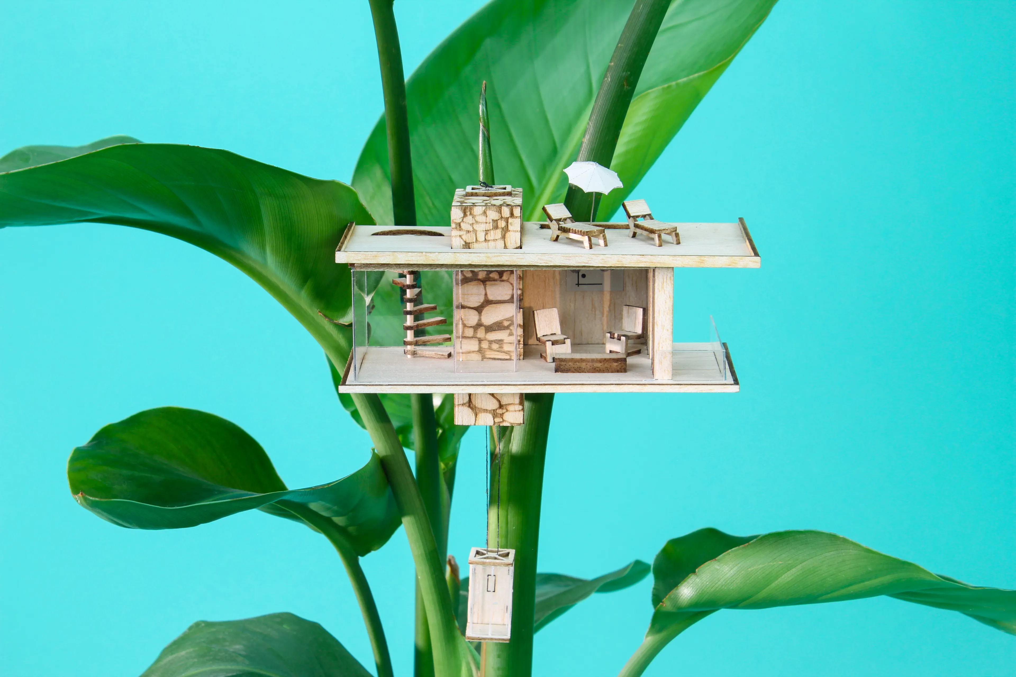 Tiny Treehouse Architecture