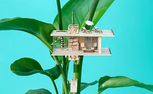 Tiny Treehouse Architecture