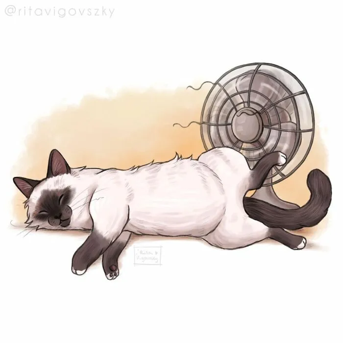30 Ilustraciones que muestran cómo es tener un gato