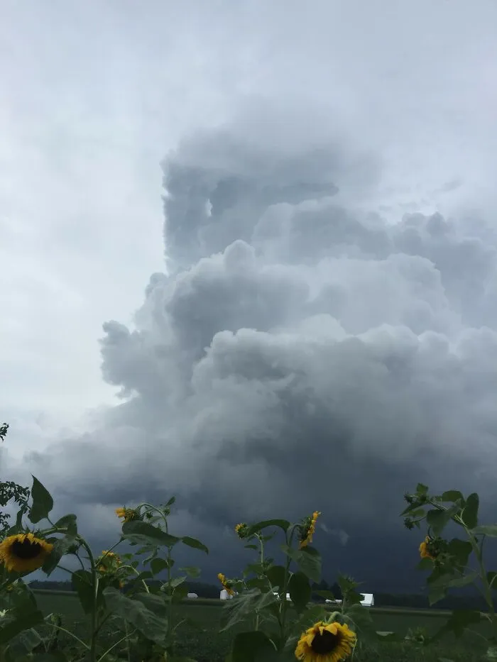 If The Tornado Looks Like Its Not Moving Its Headed Right For You