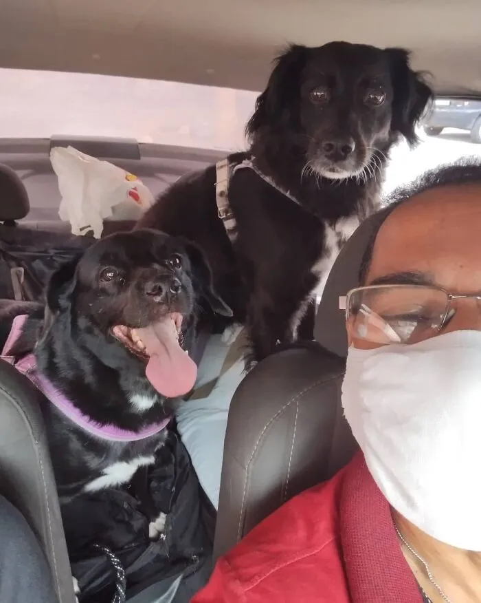 40 Selfies que este hombre se hizo con los pasajeros de su "taxi de mascotas"