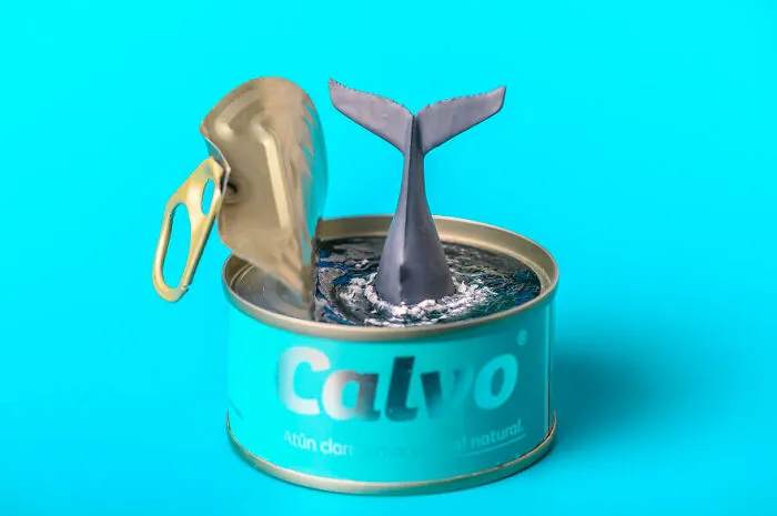 Tin Whale