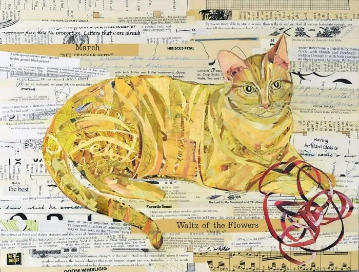 Cat Molly