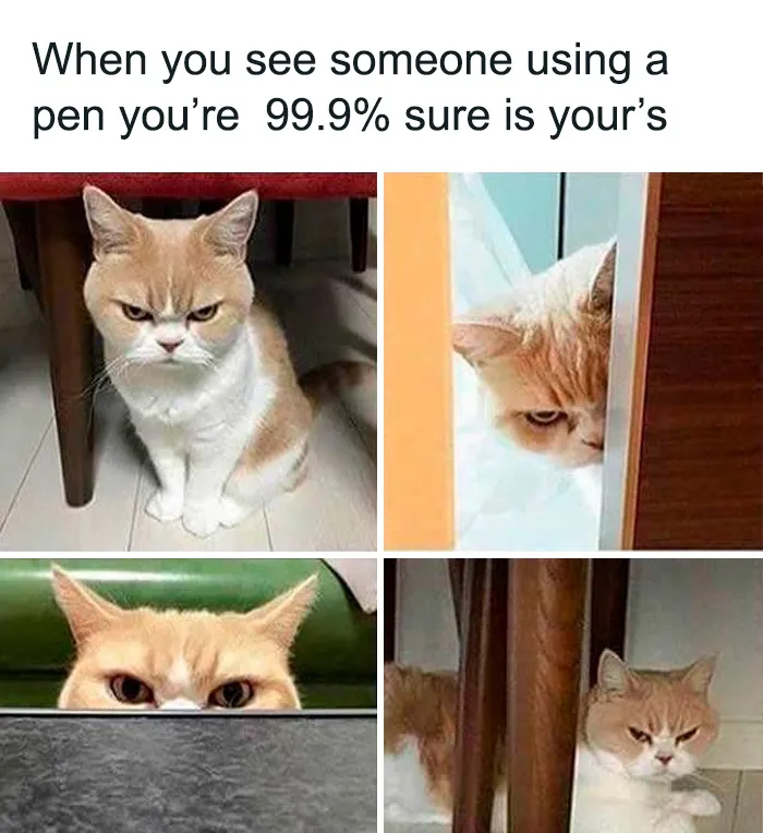 This Facebook Group Shares 50 "Work Related Funnies" To Help You Get Through The Work Week