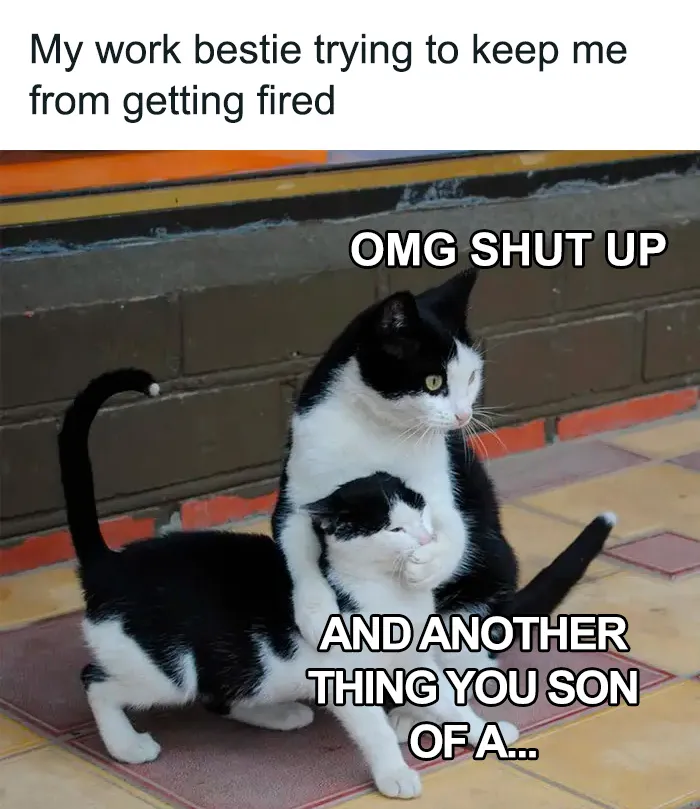 This Facebook Group Shares 50 "Work Related Funnies" To Help You Get Through The Work Week