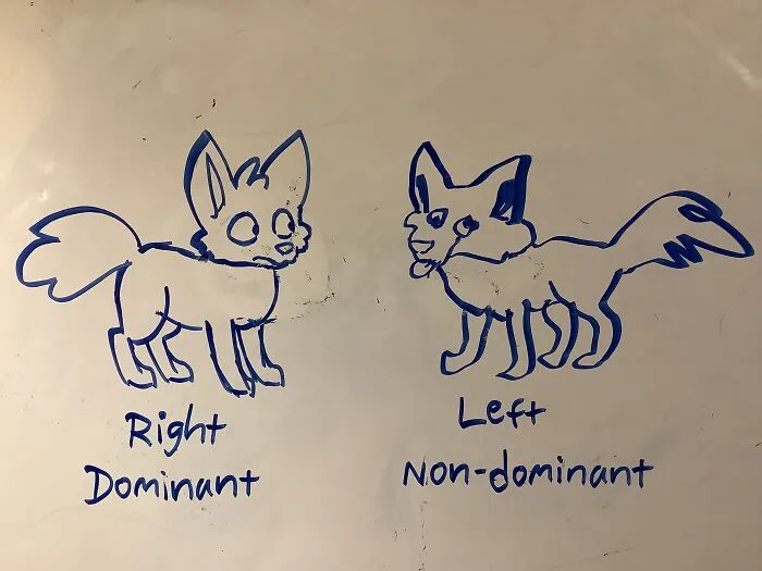Some Foxes Or Something, I Don’t Know Exactly What They Are