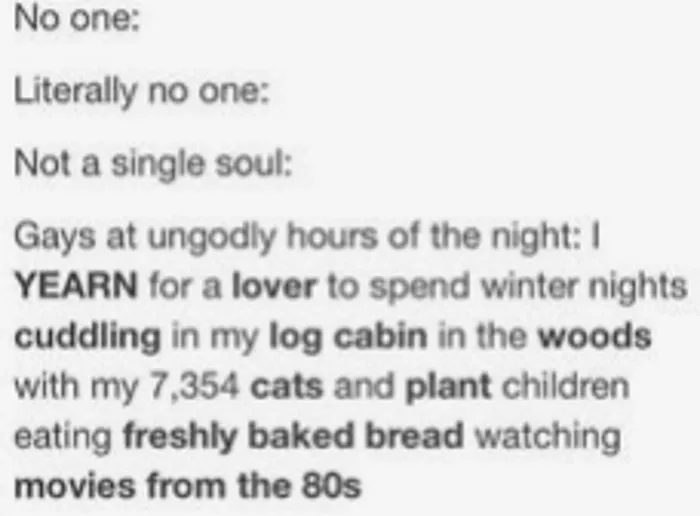 LGBTQ+ meme joking about yearning for a cozy life with cats and plants in a log cabin, watching 80s movies.
