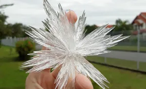 I'm Obsessed With Growing Crystals At Home. Here Are 11 Of The Most Beautiful Crystals I Managed To Grow