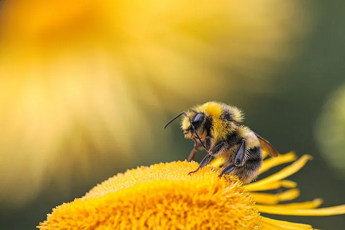 Someone Asked For ‘Very Comforting Facts,’ And 35 People Delivered