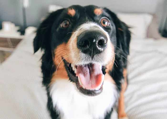 Someone Asked For ‘Very Comforting Facts,’ And 35 People Delivered