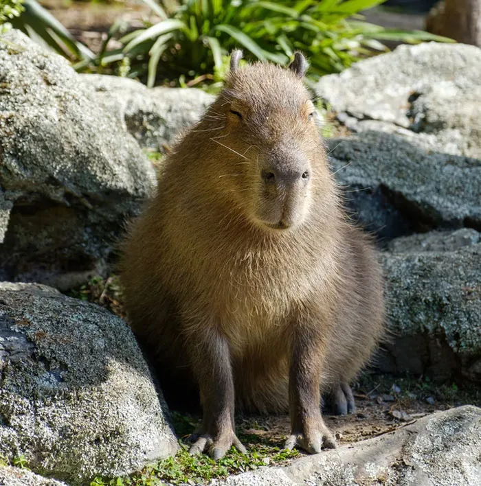 Someone Asked For ‘Very Comforting Facts,’ And 35 People Delivered