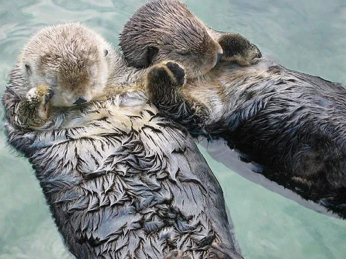 Someone Asked For ‘Very Comforting Facts,’ And 35 People Delivered
