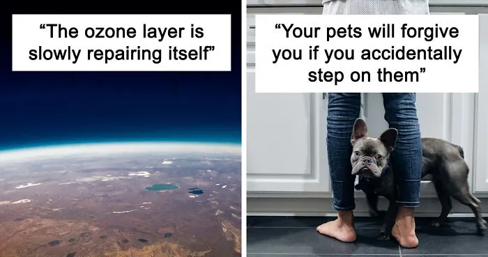 Someone Asked For ‘Very Comforting Facts,’ And 35 People Delivered