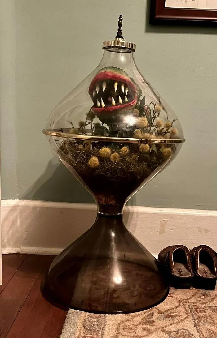 Ladies And Gentlemen, Behold My Find Today… (Ignore The Little Shop Of Horrors Inside) $65 In Everett, Wa