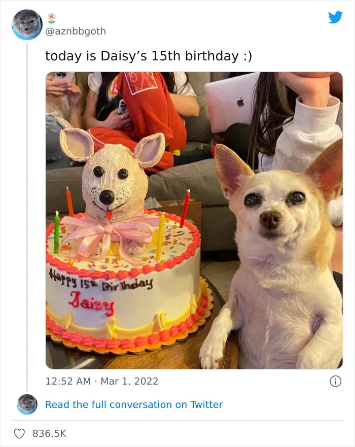She Loves Her Cake