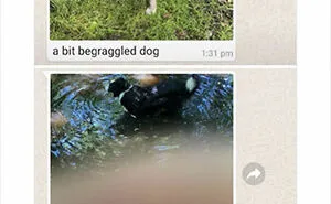This Online Account Shares ‘Wholesome Boomer Content’ (35 New Pics)