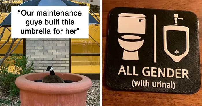 If The World Feels Like A Terrible Place, Here Are 50 Of The Most Wholesome Things People Shared Online To Make Each Other's Day