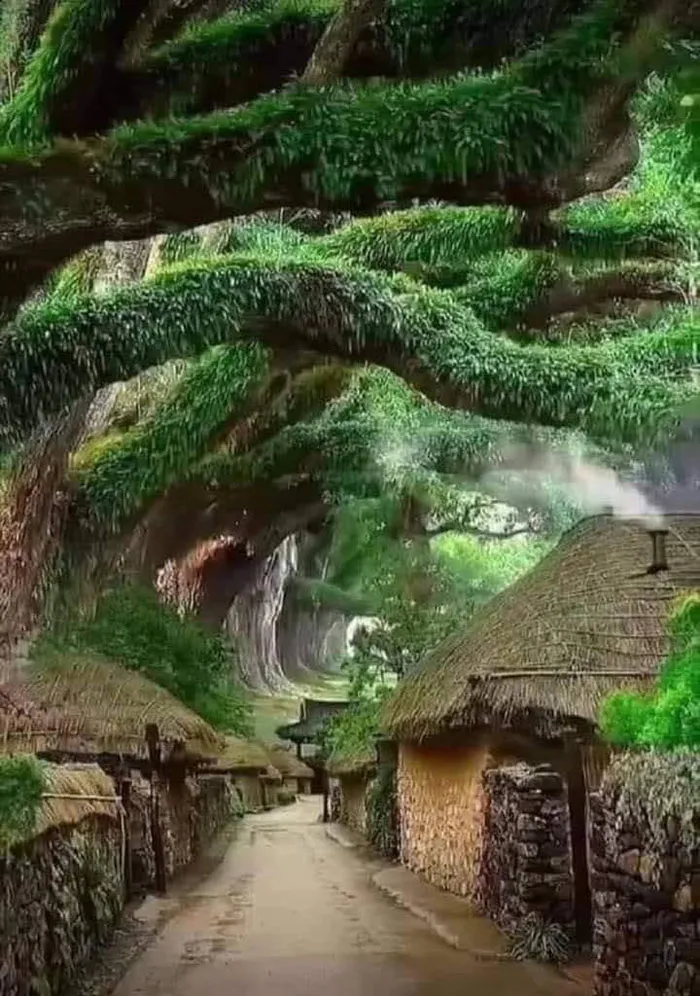 En el extremo suroccidental de la península coreana, en la región de Jeollanam-Do, hay una “aldea folclórica” en la que los habitantes  siguen conservando la forma de vida antigua
