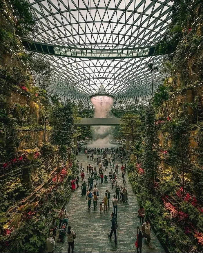 Singapore's Amazing Changi Airport