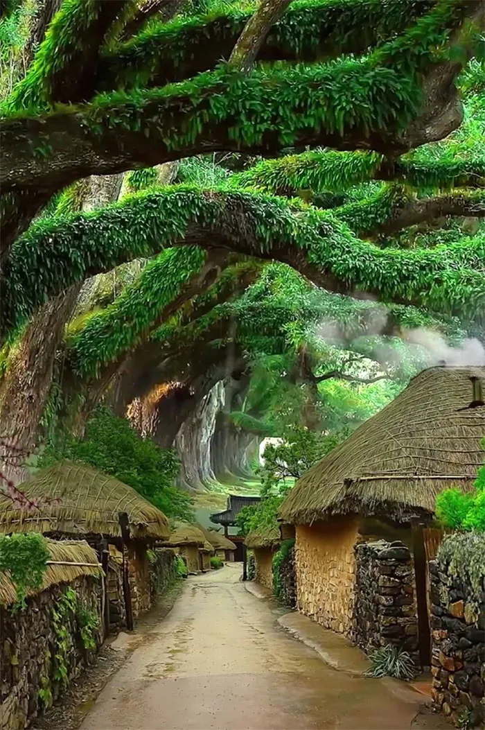 At The Southwestern End Of The Korean Peninsula, In The Jeollanam-Do Region, There Is A "Folk Village" In Which The Inhabitants Retain The Way Of Life Of The Past