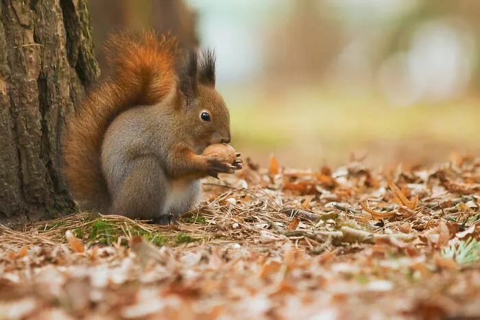 35 Interesting And Weird Animal Facts Not Too Many People Know
