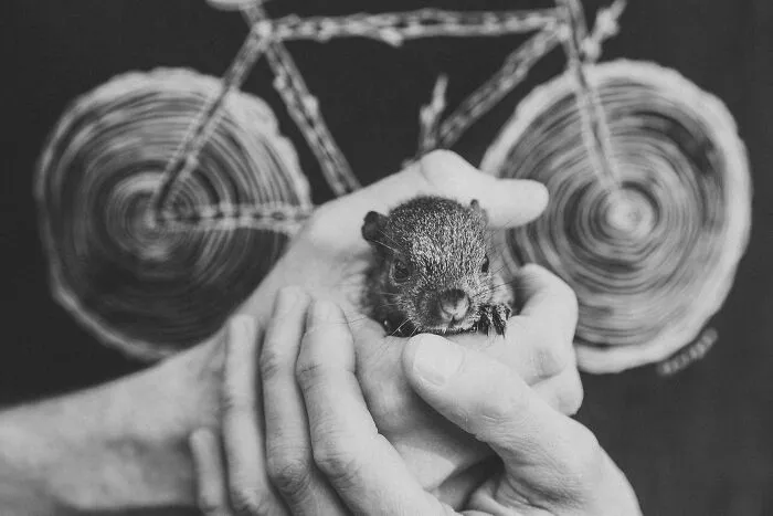 A Baby Squirrel Adopted Me, And As A Photographer, I Just Had To Give It Its Own Photoshoot (22 Pics)