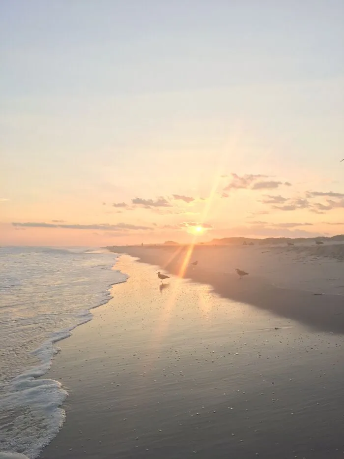 Sunset At Robert Moses