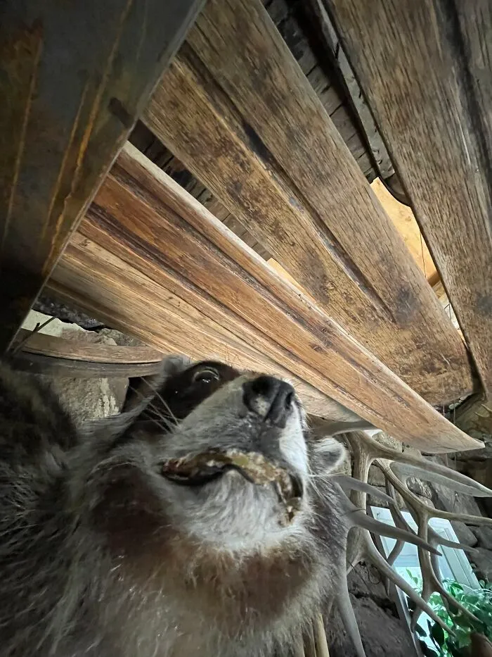 ?